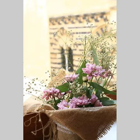 Apartament Feeling Osterio In *